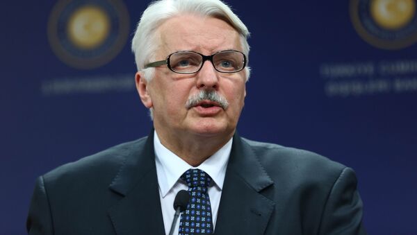 Bộ trưởng Ngoại giao Ba Lan Witold Waszczykowski - Sputnik Việt Nam