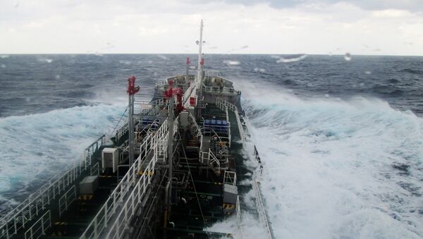 Tàu chở hàng trăm tấn hóa chất bị đắm ngoài khơi Nhật Bản - Sputnik Việt Nam