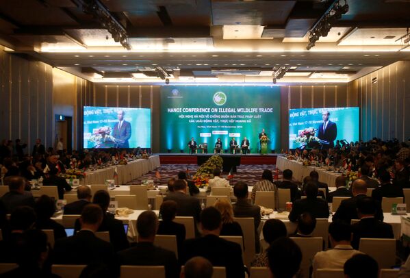Hoàng tử William  phát biểu tại hội nghị ở Hà Nội - Sputnik Việt Nam