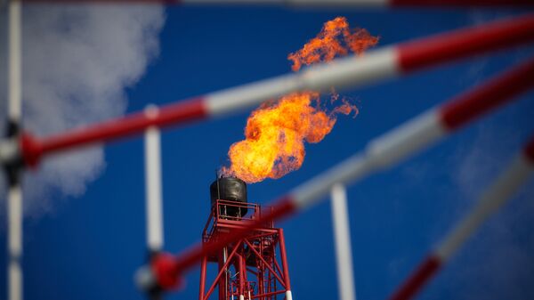 A view of the gas torch. (File) - Sputnik Việt Nam