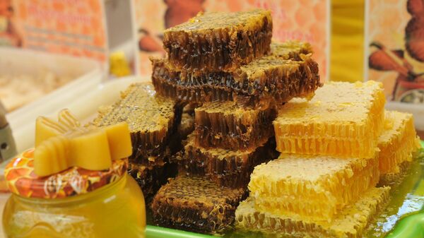 Hội chợ Mật ong trong Khu bảo tồn-điền trang Kolomenskoe - Sputnik Việt Nam