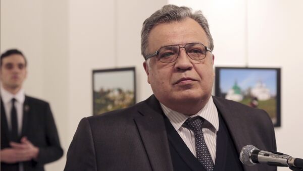 Andrei Karlov - Sputnik Việt Nam