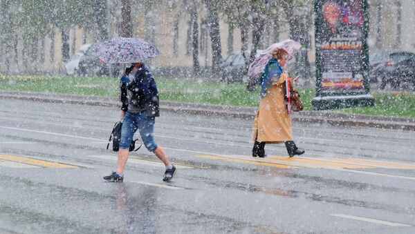 Tuyết rơi tháng Năm – chuyện lạ thường đối với thủ đô Nga ... - Sputnik Việt Nam