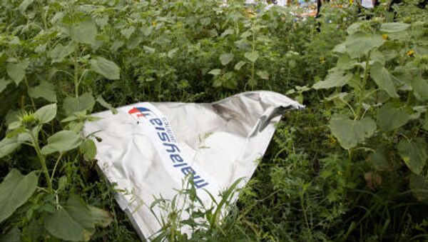 Tai nạn máy bay Boeing ở Ukraina - Sputnik Việt Nam