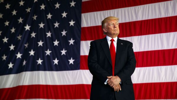 Президент США Дональд Трамп на фоне американского флага - Sputnik Việt Nam