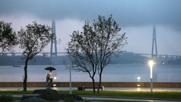 Cây cầu trên Đảo Nga, Vladivostok - Sputnik Việt Nam