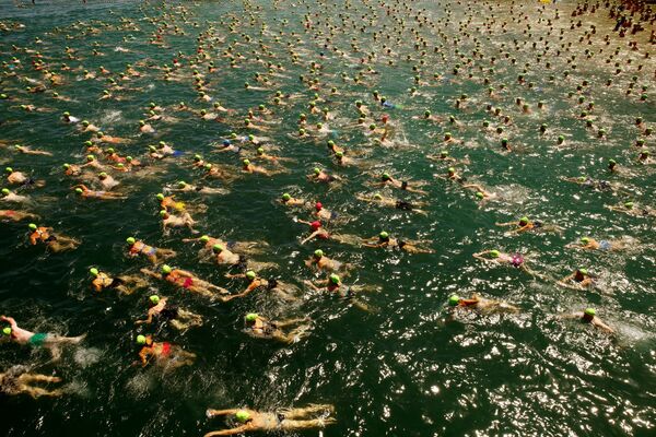 Thụy Sĩ. Giải bơi lội tập thể hàng năm trên hồ Zurich. - Sputnik Việt Nam