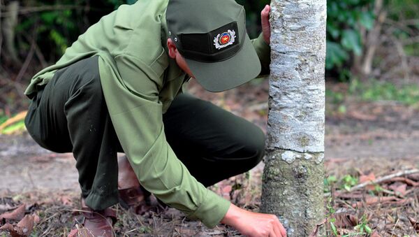 Lực lượng chức năng kiểm tra thì phát hiện mỗi cây bị khoan 3 mũi, bên trong có thuốc diệt cỏ. - Sputnik Việt Nam