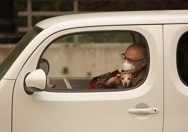 Chris Shiery với con chó Ruby đợi sơ tán khỏi Sonoma, Hoa Kỳ - Sputnik Việt Nam