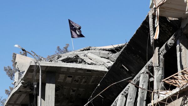 Raqqa, Syria - Sputnik Việt Nam