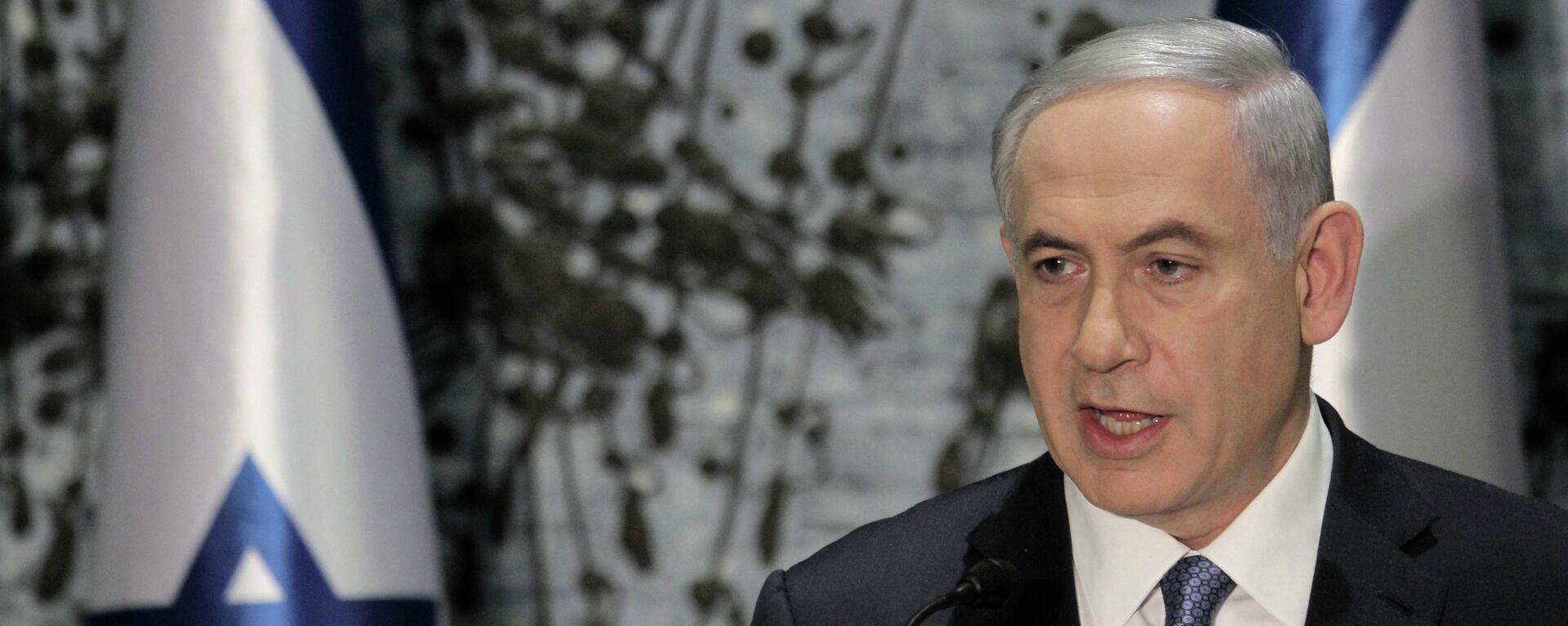 Israeli Prime Minister Benjamin Netanyahu - Sputnik Việt Nam, 1920, 16.05.2024