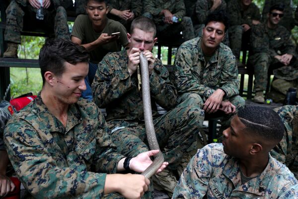 Lính thủy quân lục chiến tập ăn con tắc kè ở quá trình huấn luyện sinh tồn trong rừng - một phần cuộc tập trận chung Cobra Gold 2018 ở Thái Lan - Sputnik Việt Nam