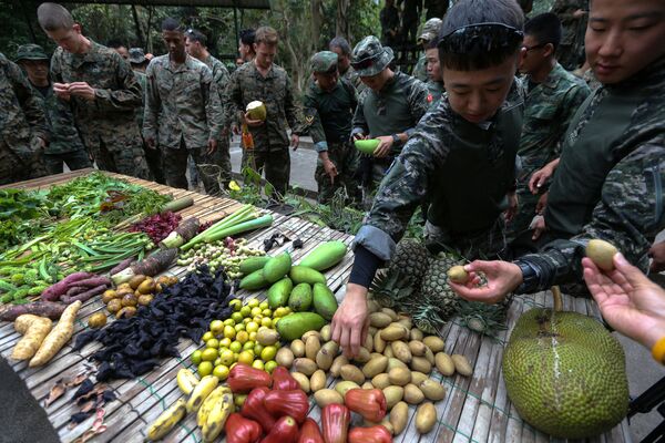 Thủy quân lục chiến Hoa Kỳ và Hàn Quốc tập sinh tồn trong rừng trong khuôn khổ cuộc tập trận chung Cobra Gold 2018 ở Thái Lan - Sputnik Việt Nam