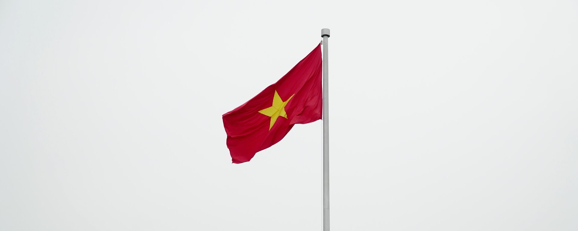 Quốc kỳ Việt Nam - Sputnik Việt Nam, 1920, 21.05.2024