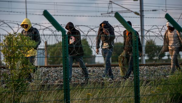 Gần 1500 người di cư lại  cố gắng tấn công Eurotunnel - Sputnik Việt Nam