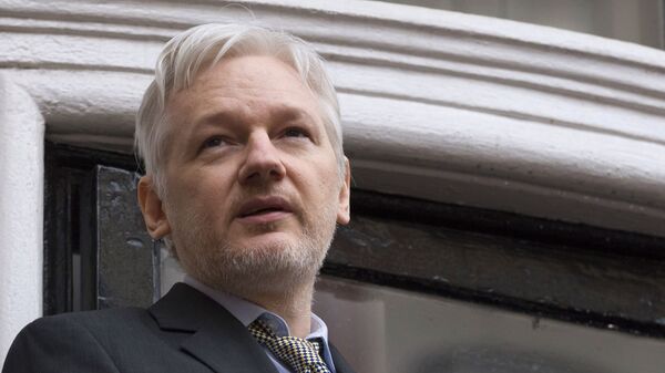 Tổng biên tập Sputnik Simonyan hy vọng một ngày nào đó sẽ liên lạc được với ông Assange