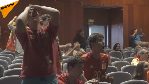 Cảm xúc của người hâm mộ sau những trận đấu đầu tiên của vòng playoff World Cup - Sputnik Việt Nam
