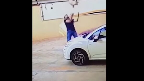 Ở Brazil một người đàn ông kịp chộp được con chó đang rơi từ tầng 9 của một ngôi nhà - Sputnik Việt Nam