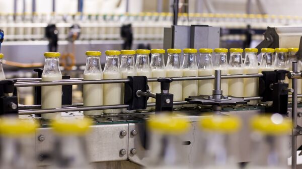 Hệ thống dây chuyền sản xuất sữa tại nhà máy - Sputnik Việt Nam