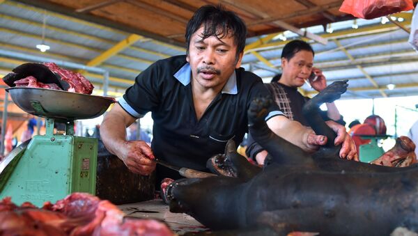 Thịt chó ở Indonesia - Sputnik Việt Nam