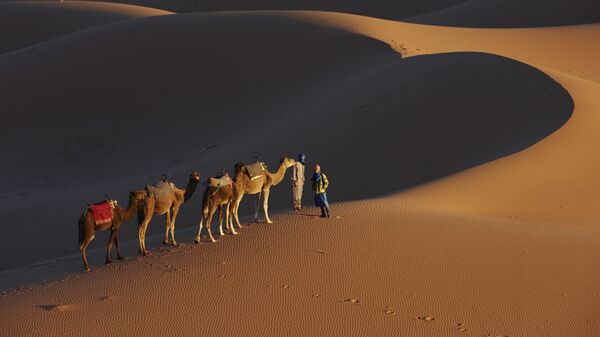 Человек и верблюды на дороге тысячи крепостей в пустыне Сахара, Марокко - Sputnik Việt Nam