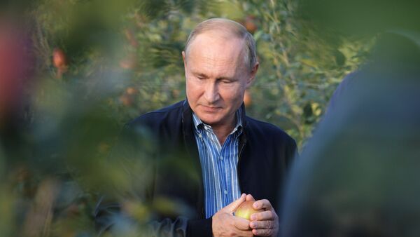 Tổng thống LB Nga Vladimir Putin  thăm vườn táo của xí nghiệp nông nghiệp Rassvet ở vùng Stavropol - Sputnik Việt Nam