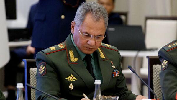 Министр обороны РФ Сергей Шойгу - Sputnik Việt Nam