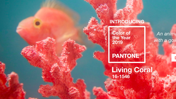 màu sắc san hô sống (Living Coral) - Sputnik Việt Nam