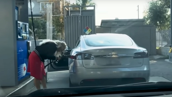Cô gái cố sạc xe điện Tesla bằng xăng thông thường - Sputnik Việt Nam