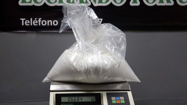 Cảnh sát ma túy bắt giữ một túi cocaine - Sputnik Việt Nam