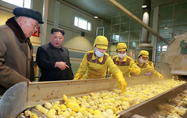 Nhà lãnh đạo Triều Tiên Kim Jong-un tại nhà máy khoai tây ở Samjien - Sputnik Việt Nam