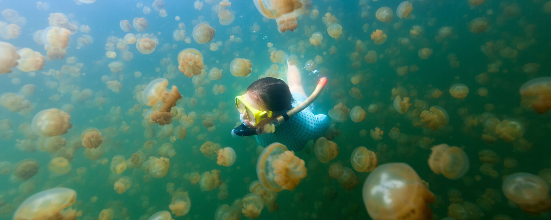 Cô gái đang lặn ở Hồ Medusa trong quần đảo Rocky, Palau. - Sputnik Việt Nam, 1920, 21.04.2019