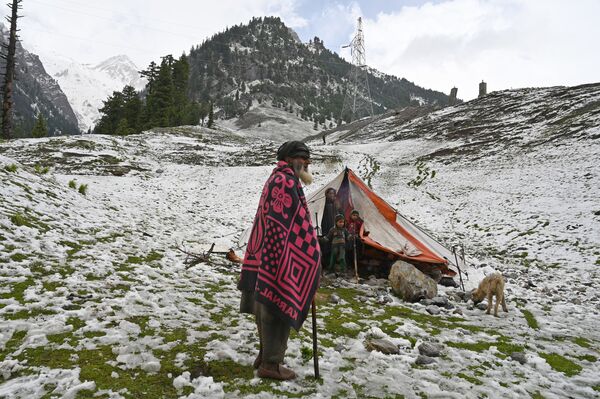Những người du mục Kashmir trong lều sau khi tuyết rơi ở vùng Sonamarg, Ấn Độ - Sputnik Việt Nam
