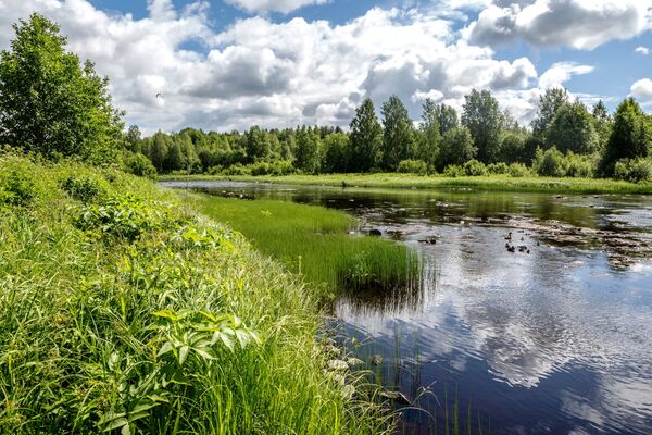 Sông Pyalma ở quận Pudozh, Cộng hòa Karelia - Sputnik Việt Nam