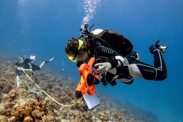 Lặn biển để kiểm tra san hô bị hư hại ở quần đảo Virgin - Sputnik Việt Nam