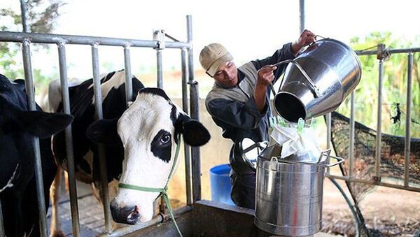 Việt Nam đặt mục tiêu năm 2020, xuất khẩu sữa sang Trung Quốc sẽ tăng từ 120 triệu USD lên 300 triệu USD. - Sputnik Việt Nam