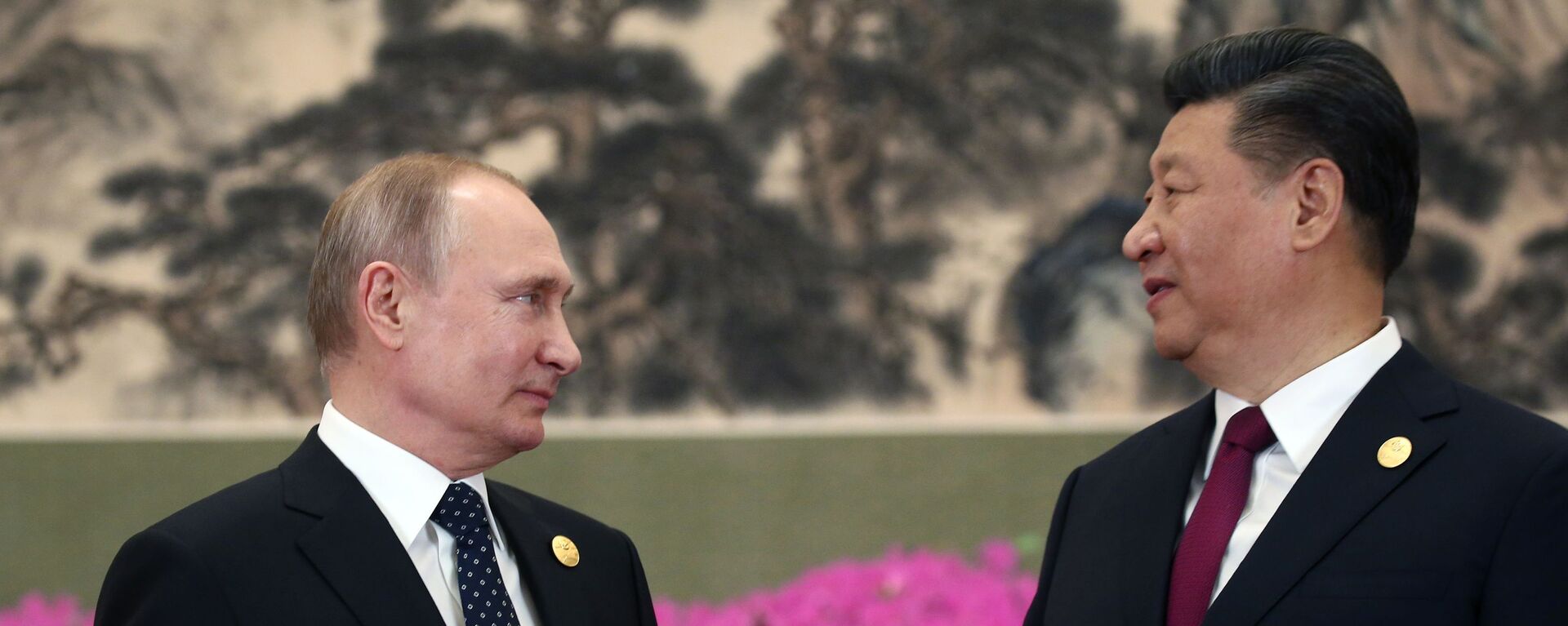 Vladimir Putin và Tập Cận Bình - Sputnik Việt Nam, 1920, 22.01.2022