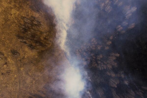Vụ cháy trên cánh đồng ở tỉnh Kemerovo - Sputnik Việt Nam