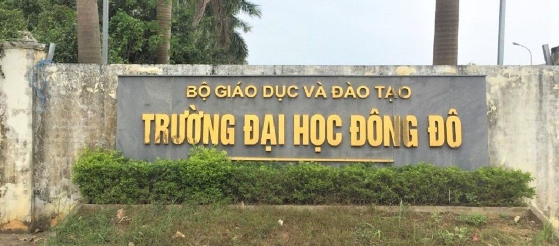 Đại học Đông Đô  - Sputnik Việt Nam, 1920, 13.01.2020