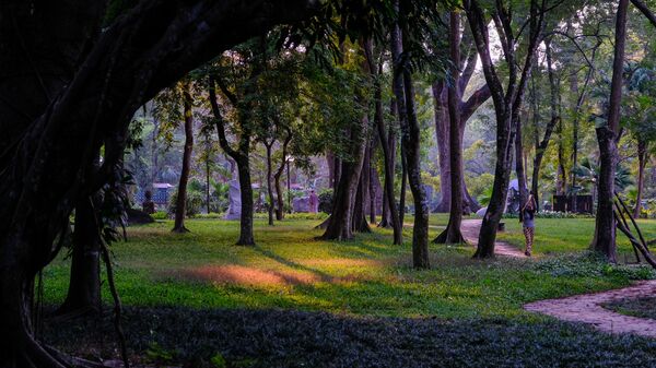 Top 10 vườn quốc gia đẹp nhất Việt Nam: tên và vị trí