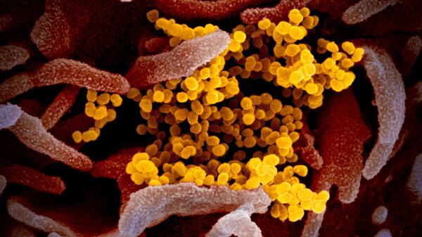Цветное изображение нового коронавируса SARS-CoV-2  - Sputnik Việt Nam