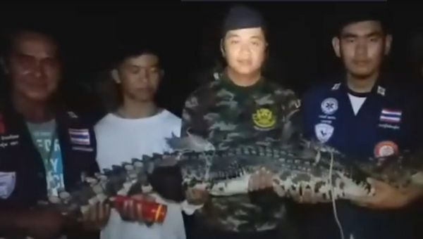 Đội cứu hộ bắt được con cá sấu rời trốn khỏi ngôi chùa Phật giáo - Sputnik Việt Nam