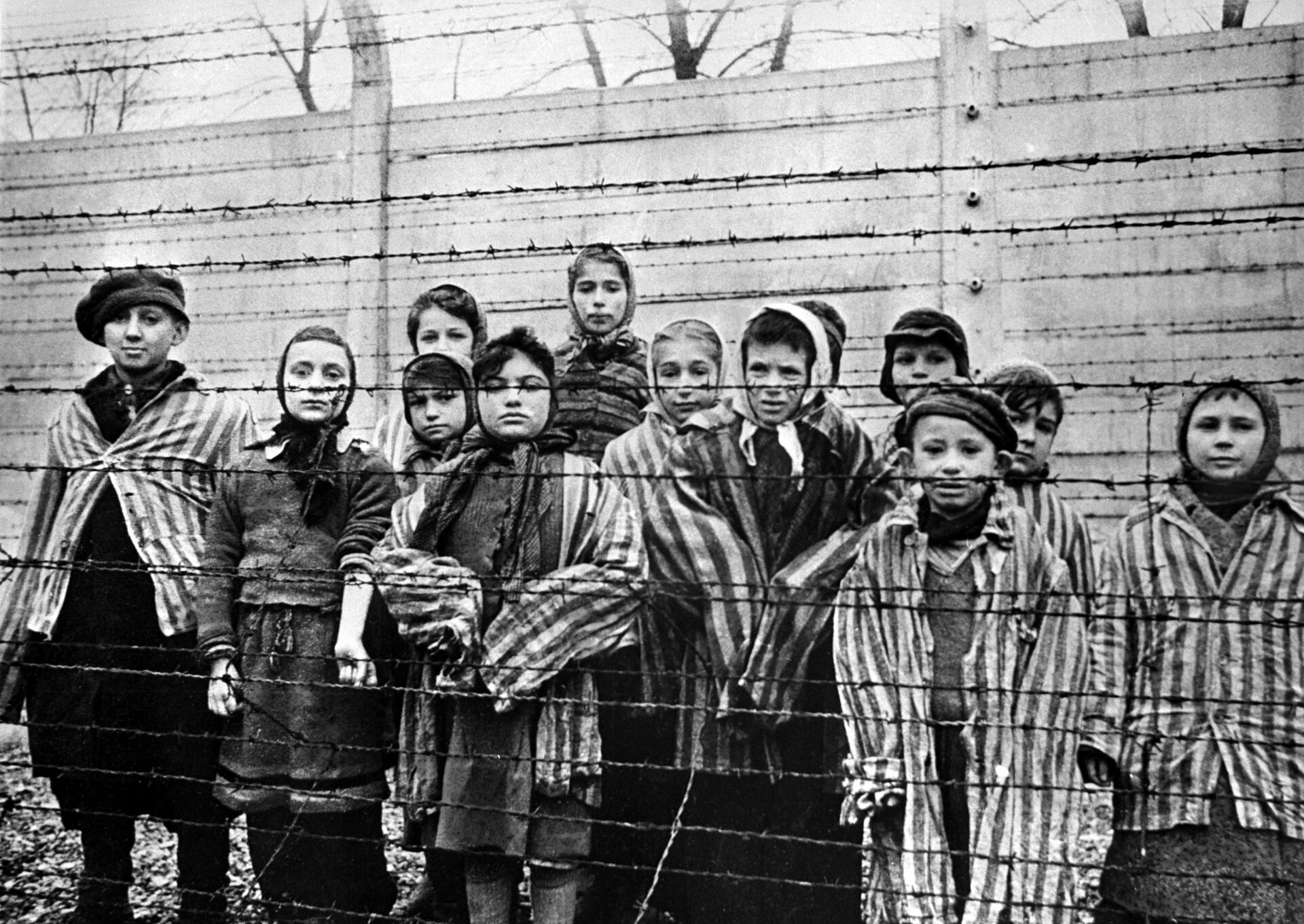 Trẻ em bị giam giữ tại trại tập trung Auschwitz, 1945 - Sputnik Việt Nam, 1920, 30.05.2024