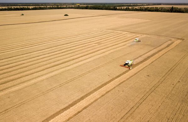 Thu hoạch ngũ cốc ở Khu vực Krasnodar, Liên bang Nga - Sputnik Việt Nam