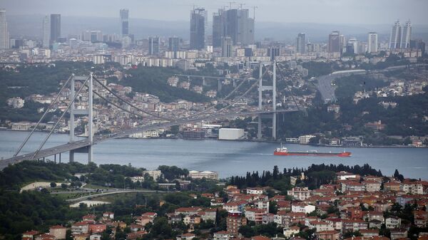 Phong cảnh thành phố Istanbul và vịnh Bosphorus - Sputnik Việt Nam