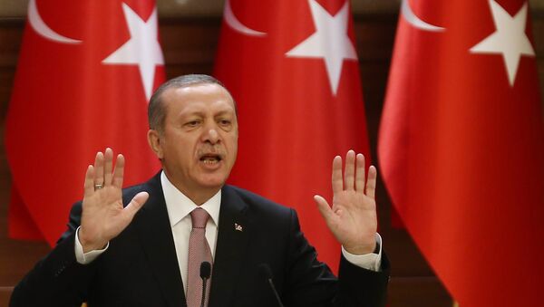 Tayyip Erdogan - Sputnik Việt Nam